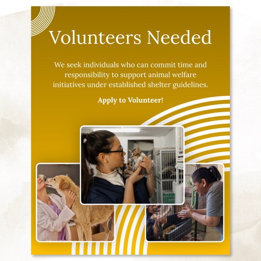 Volunteer Recruitment Template Pack - Help Save Lives