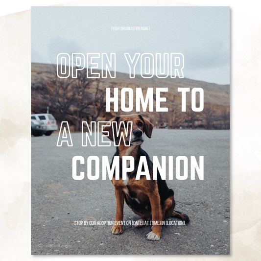 Adoption Event Template Pack - Meet Your Match