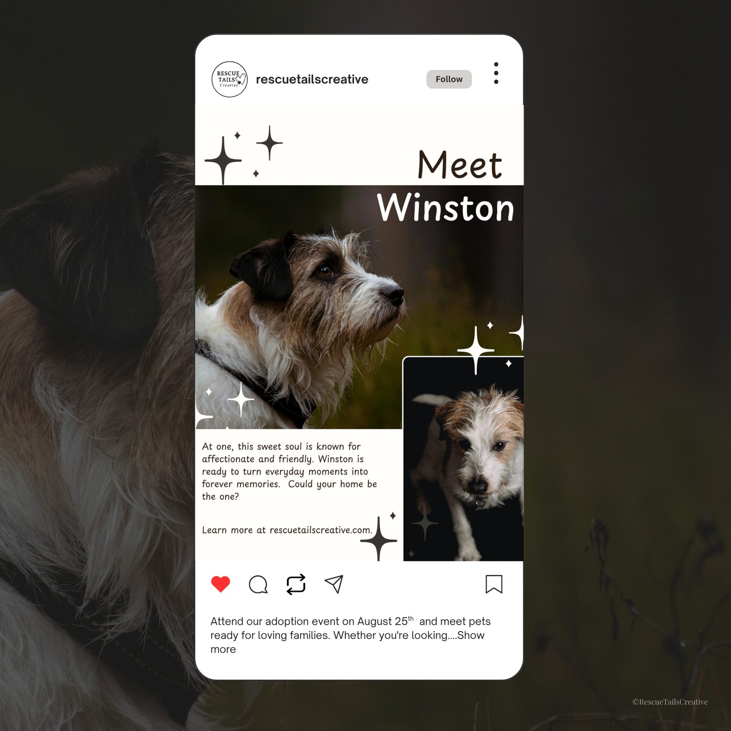 Pet Profile Template Pack - Find Me a Family