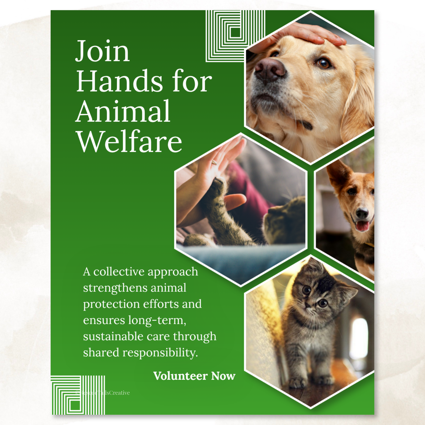 Volunteer Recruitment Template Pack - Help Save Lives