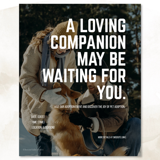 Adoption Event Template Pack - Meet Your Match