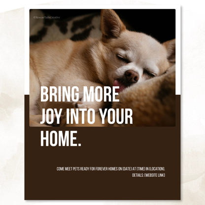 Adoption Event Template Pack - Meet Your Match