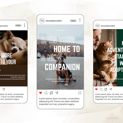 Adoption Event Template Pack - Meet Your Match