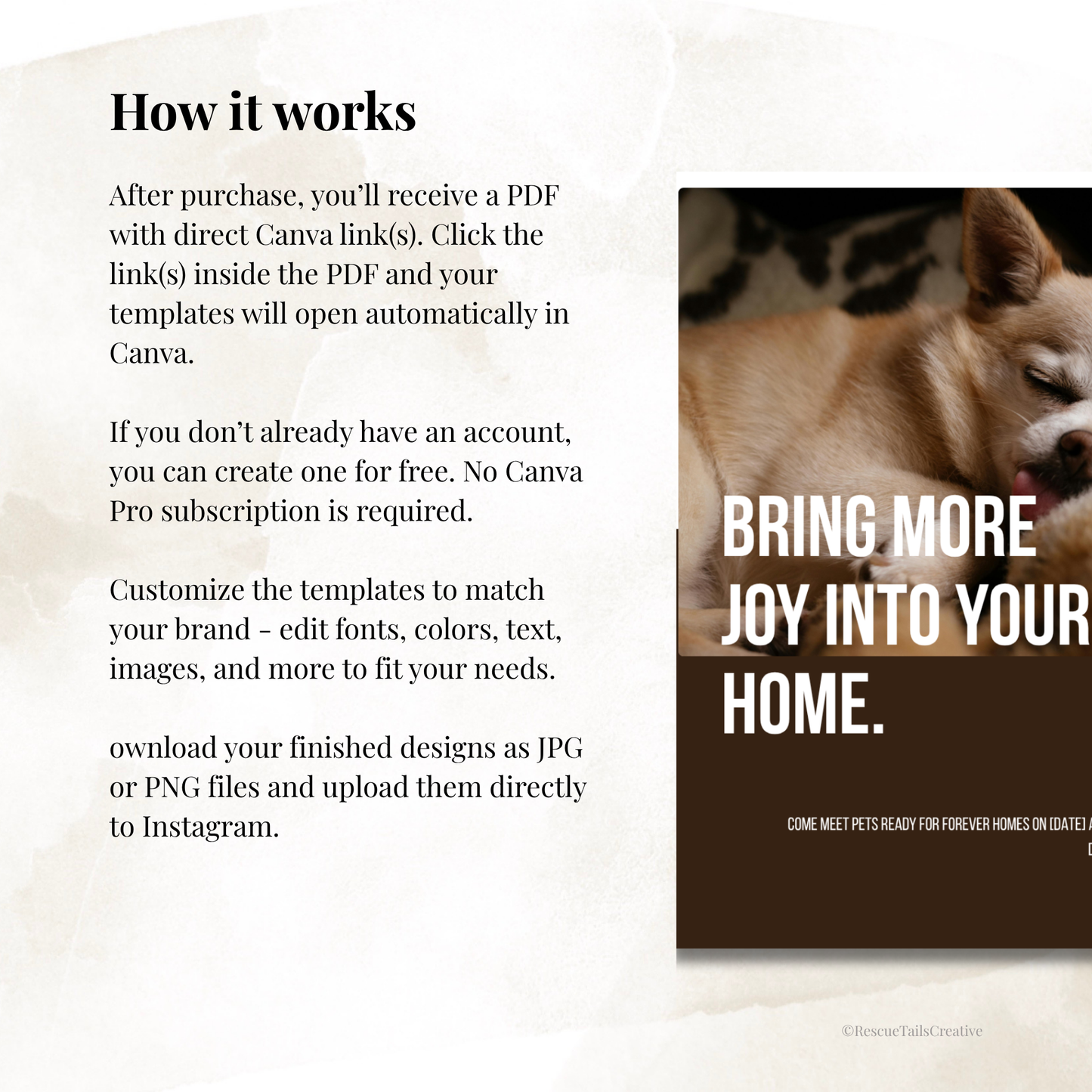 Adoption Event Template Pack - Meet Your Match