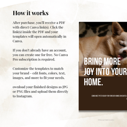 Adoption Event Template Pack - Meet Your Match