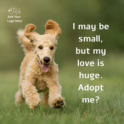 Adoption Post Templates – A Place for Love
