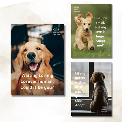Adoption Post Templates – A Place for Love