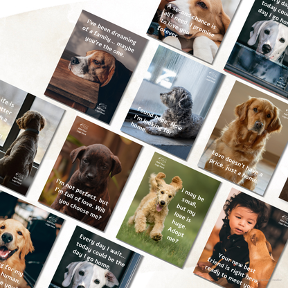 Adoption Post Templates – A Place for Love