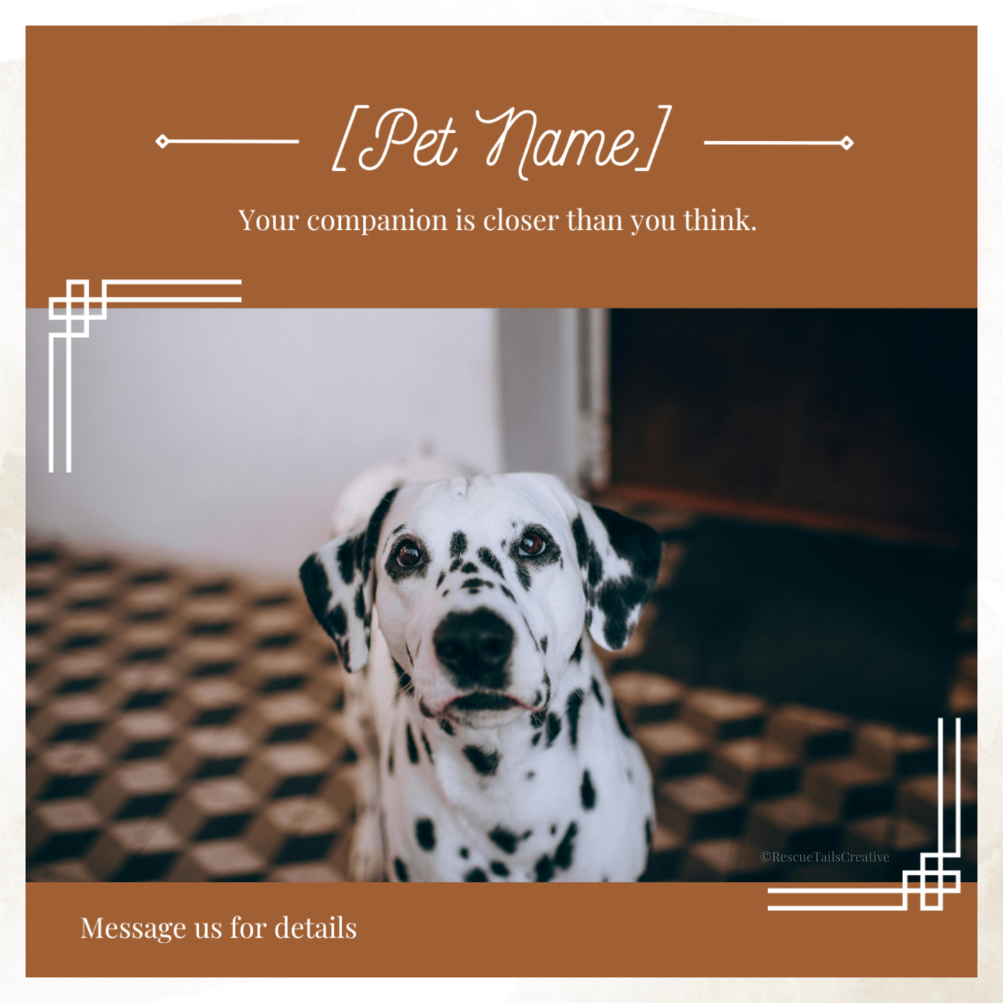 Featured Pet Template Pack - Hope & Homes