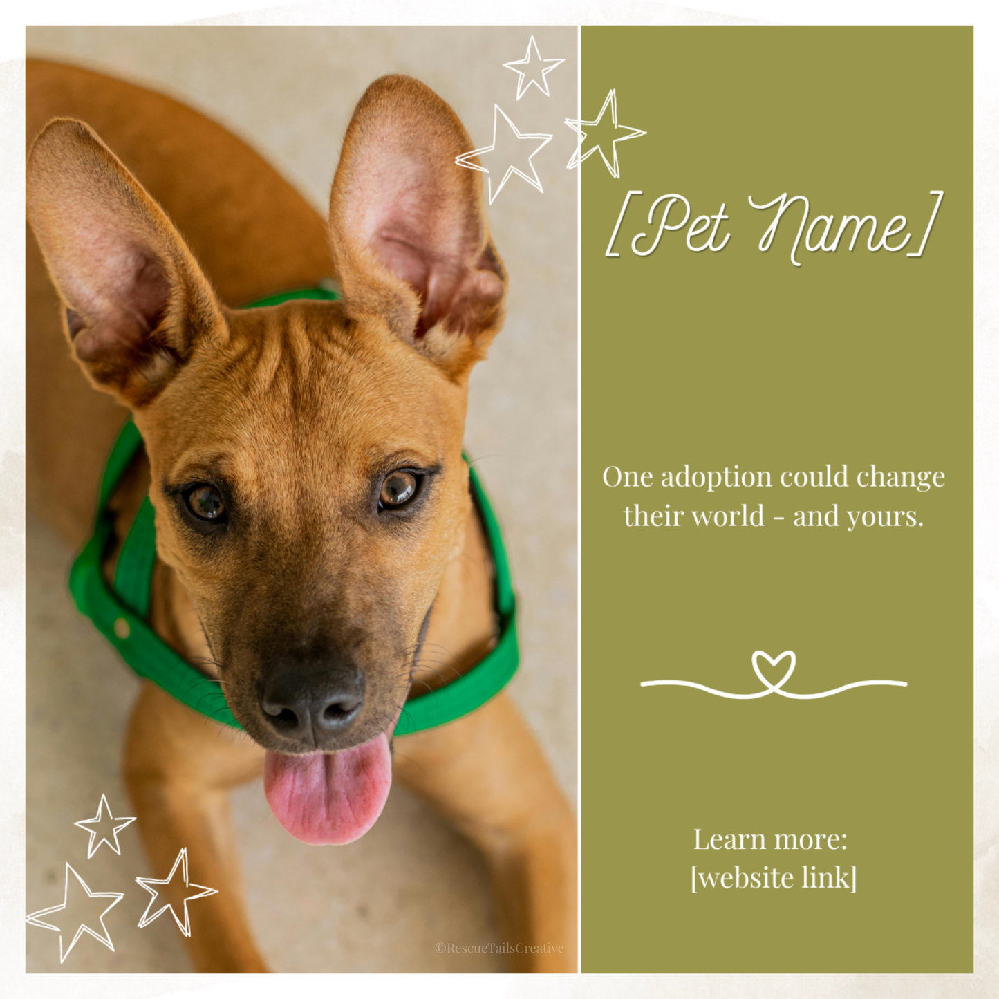 Featured Pet Template Pack - Hope & Homes
