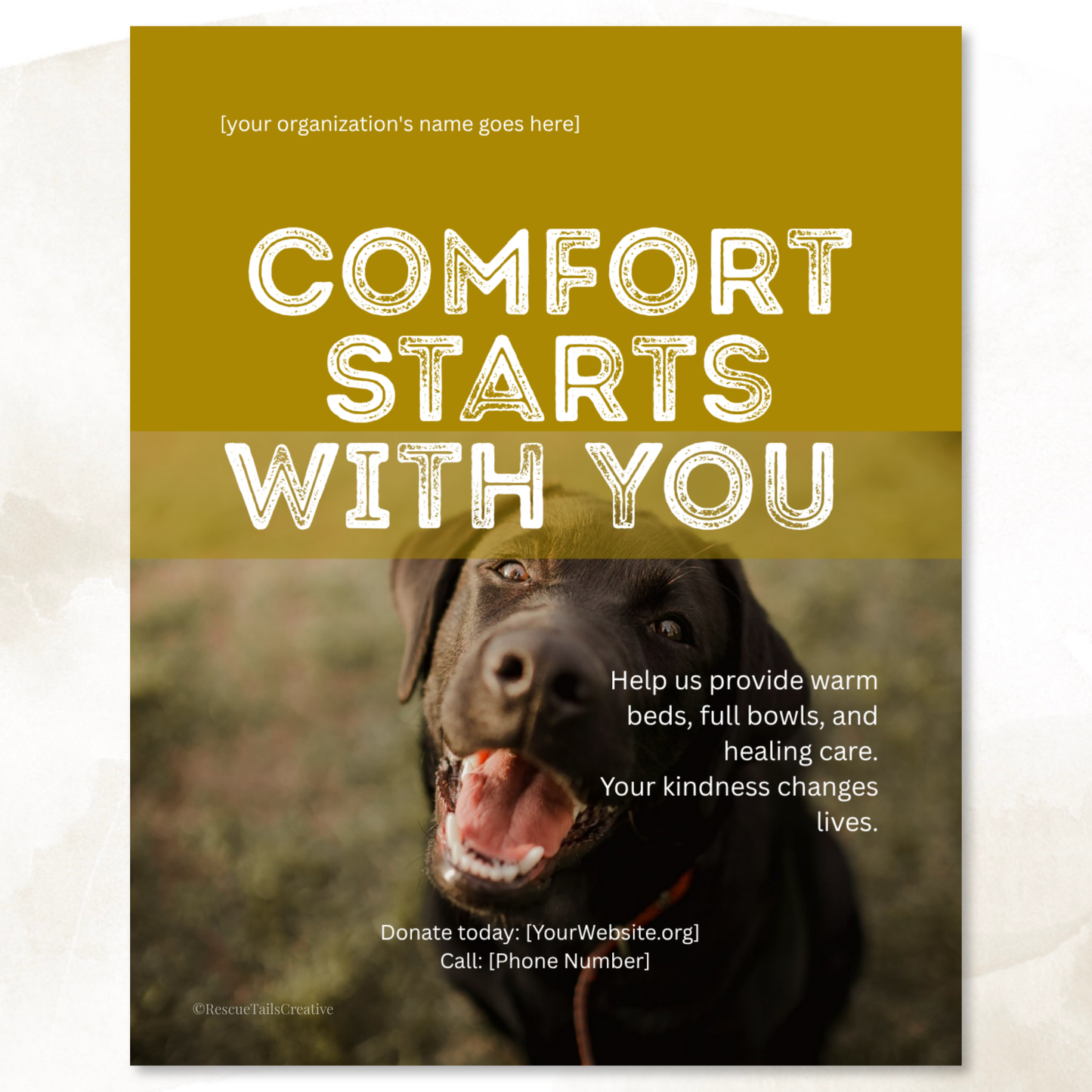 Donation Appeal Template Pack - Save a Life Today
