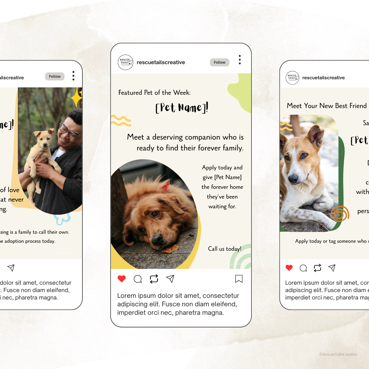 Customizable featured pet template with a replaceable rescue animal photo
