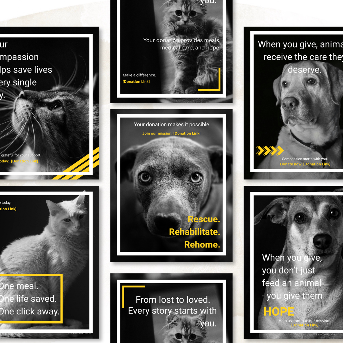 Donation Appeal Template Pack - Give Them a Chance