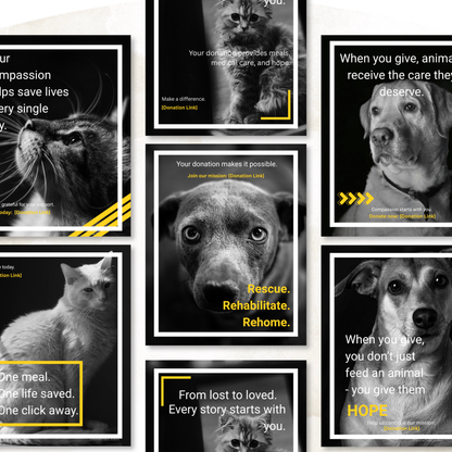 Donation Appeal Template Pack - Give Them a Chance