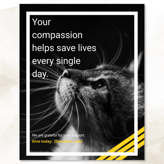 Donation Appeal Template Pack - Give Them a Chance