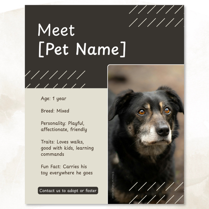 Pet Profile Template Pack - Find Me a Family