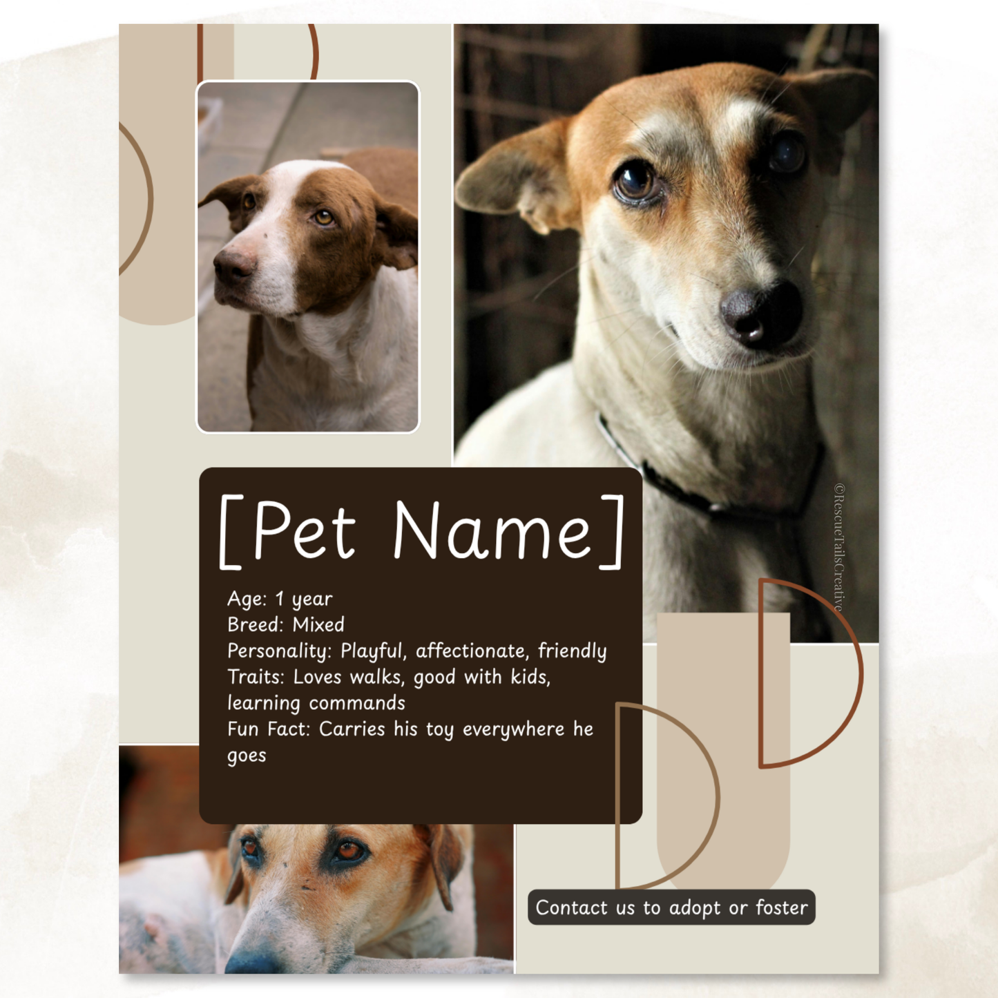 Pet Profile Template Pack - Find Me a Family