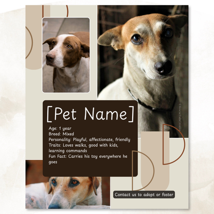 Pet Profile Template Pack - Find Me a Family