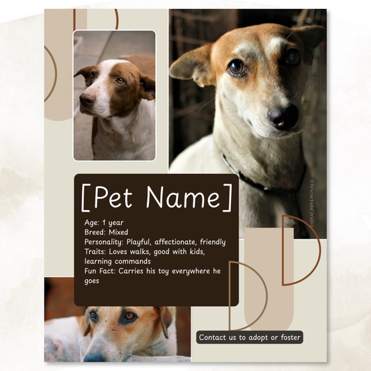 Pet Profile Template Pack - Find Me a Family