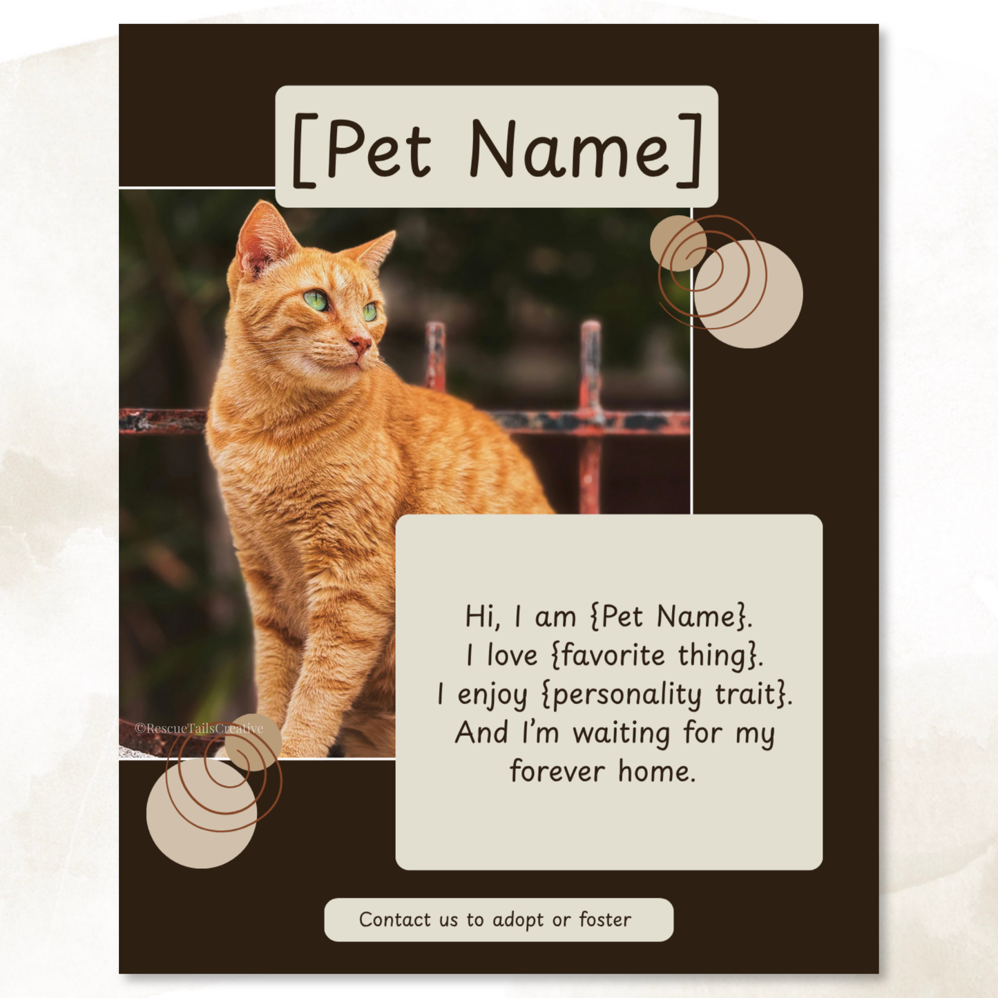 Pet Profile Template Pack - Find Me a Family