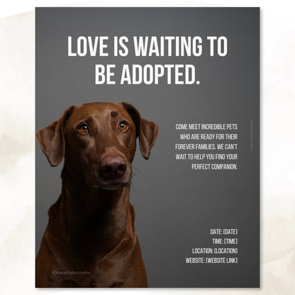 Adoption Event Template Pack - Home at Last