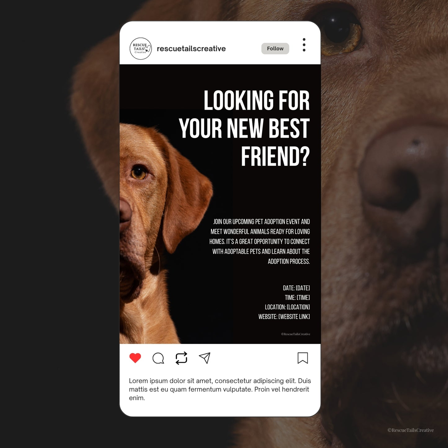 Adoption Event Template Pack - Home at Last