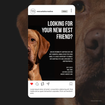 Adoption Event Template Pack - Home at Last