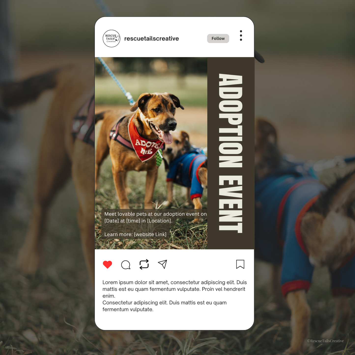 Adoption Event Template Pack - Find Your Forever