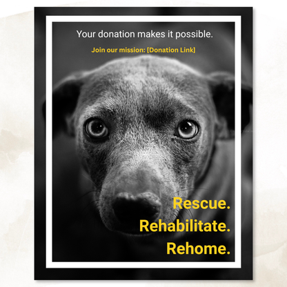 Donation Appeal Template Pack - Give Them a Chance