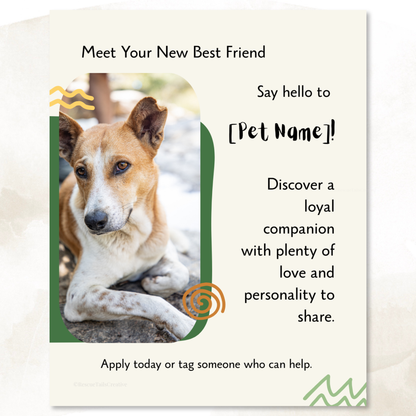 Canva featured pet templates helping animal welfare nonprofits create consistent adoption posts
