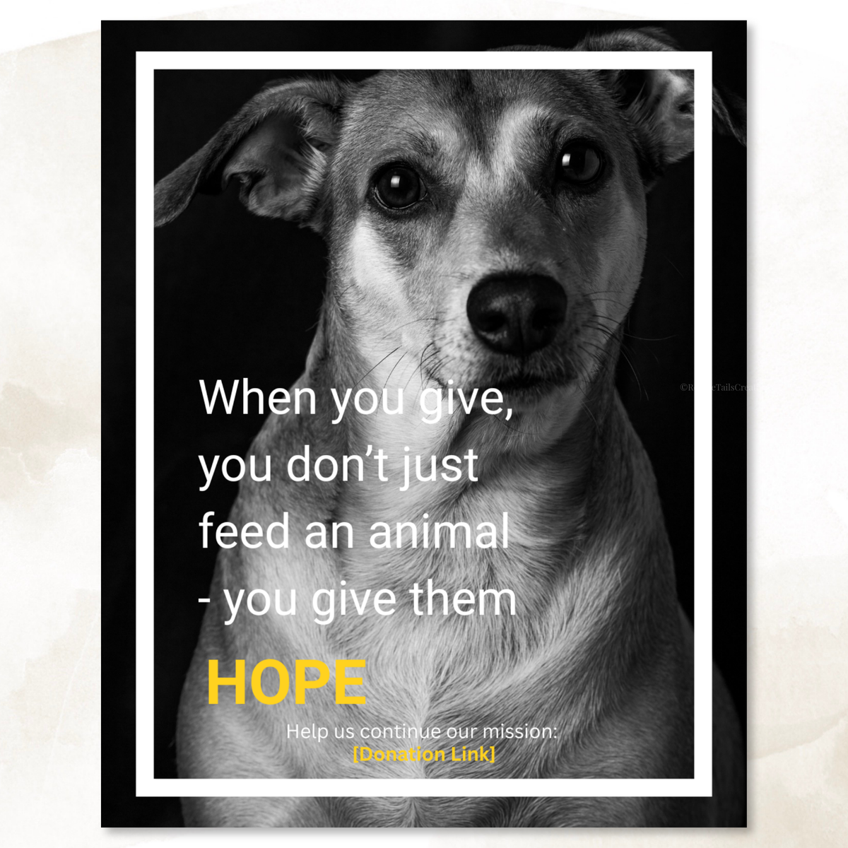 Donation Appeal Template Pack - Give Them a Chance