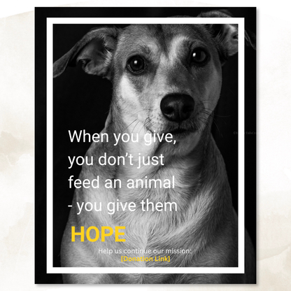 Donation Appeal Template Pack - Give Them a Chance