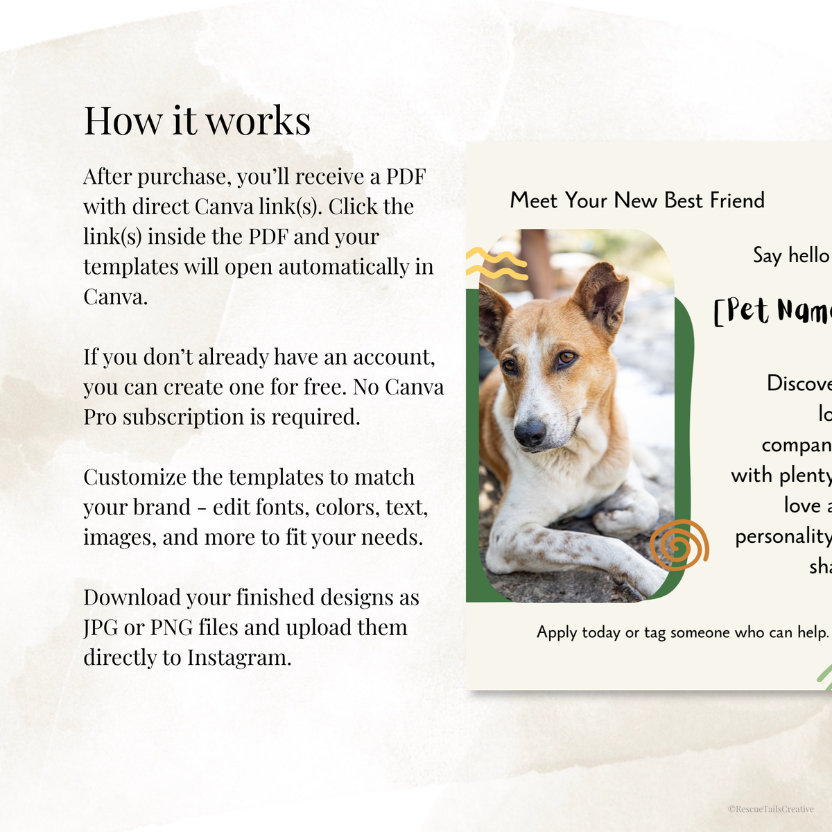 Animal shelter template with customizable colours, fonts, and branding