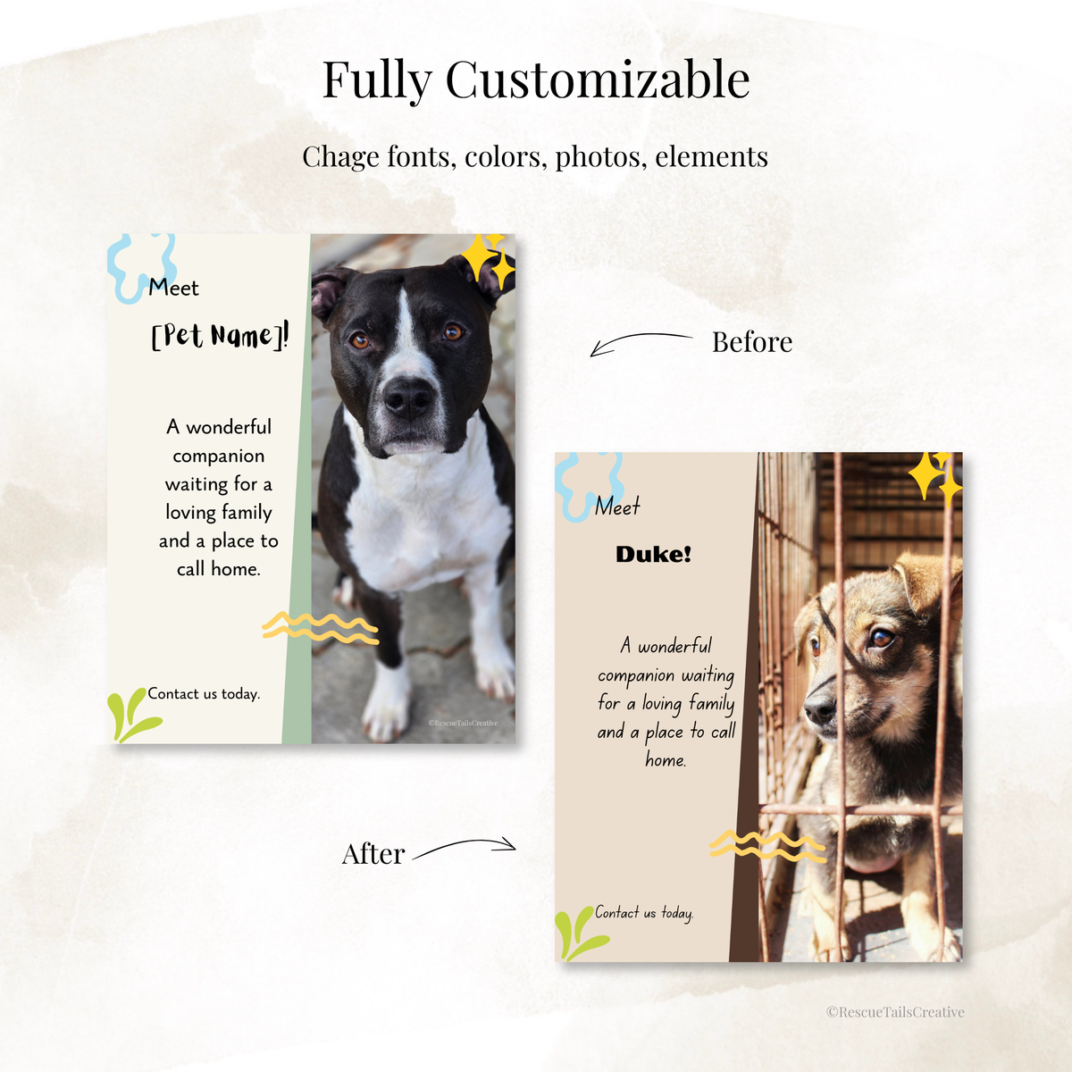 Featured pet Instagram graphic encouraging potential adopters to call or message the rescue