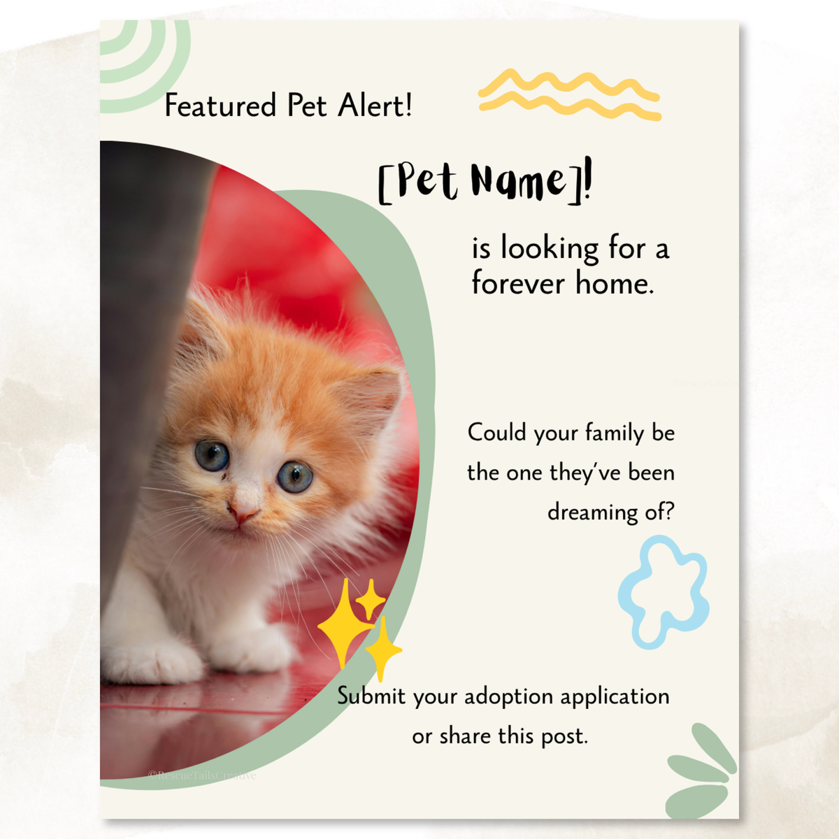 Editable featured pet Instagram design for introducing an adoptable rescue cat