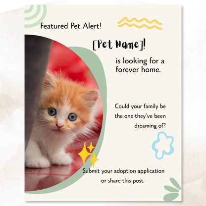 Editable featured pet Instagram design for introducing an adoptable rescue cat