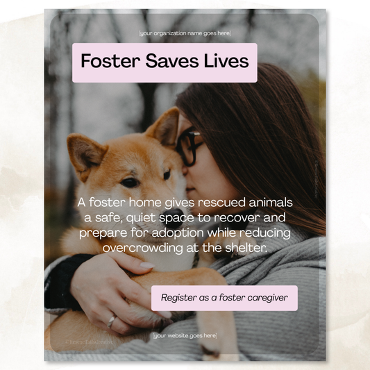 Foster recruitment Instagram template  editable in Canva for animal rescues