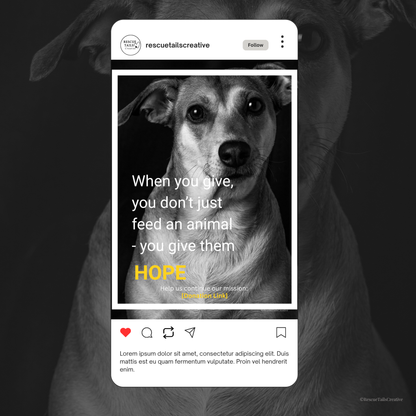Donation Appeal Template Pack - Give Them a Chance