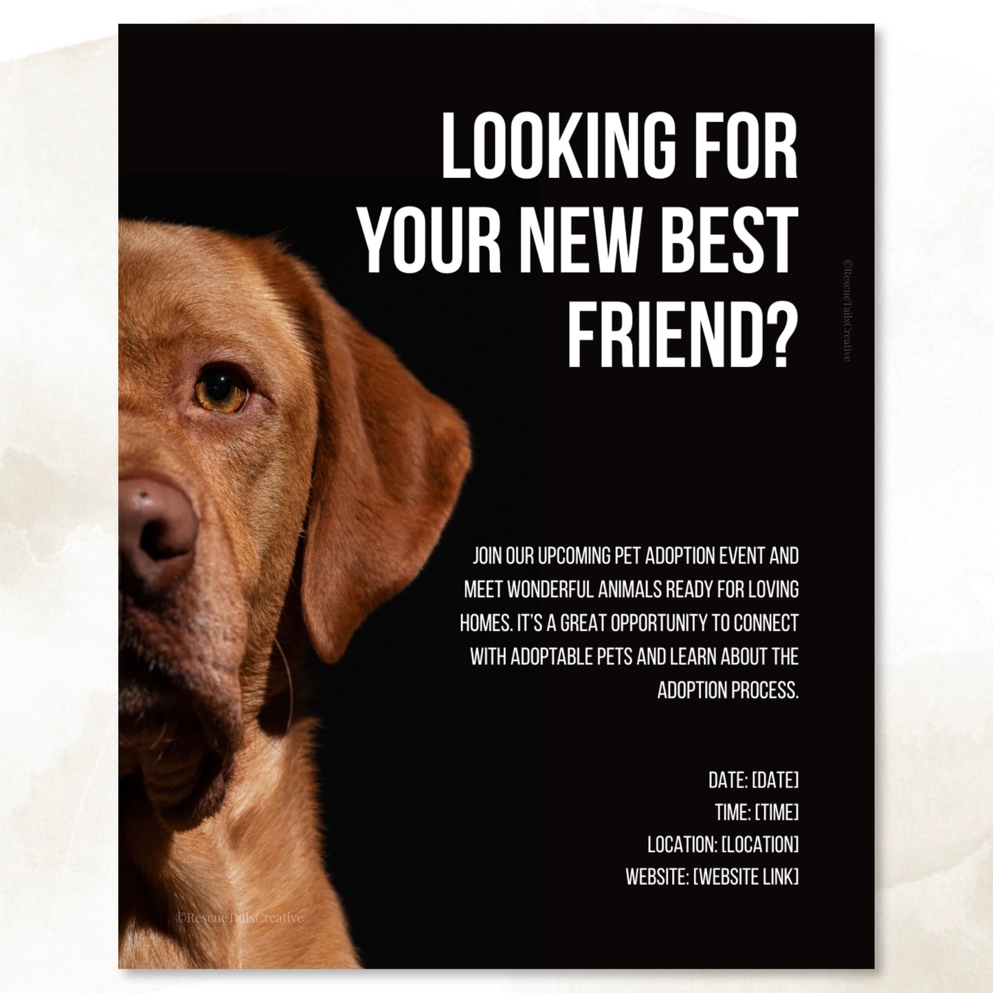 Adoption Event Template Pack - Home at Last