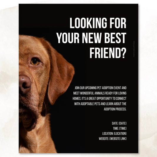 Adoption Event Template Pack - Home at Last