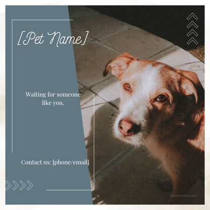 Featured Pet Template Pack - Hope & Homes
