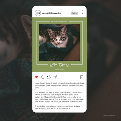 Featured Pet Template Pack - Hope & Homes