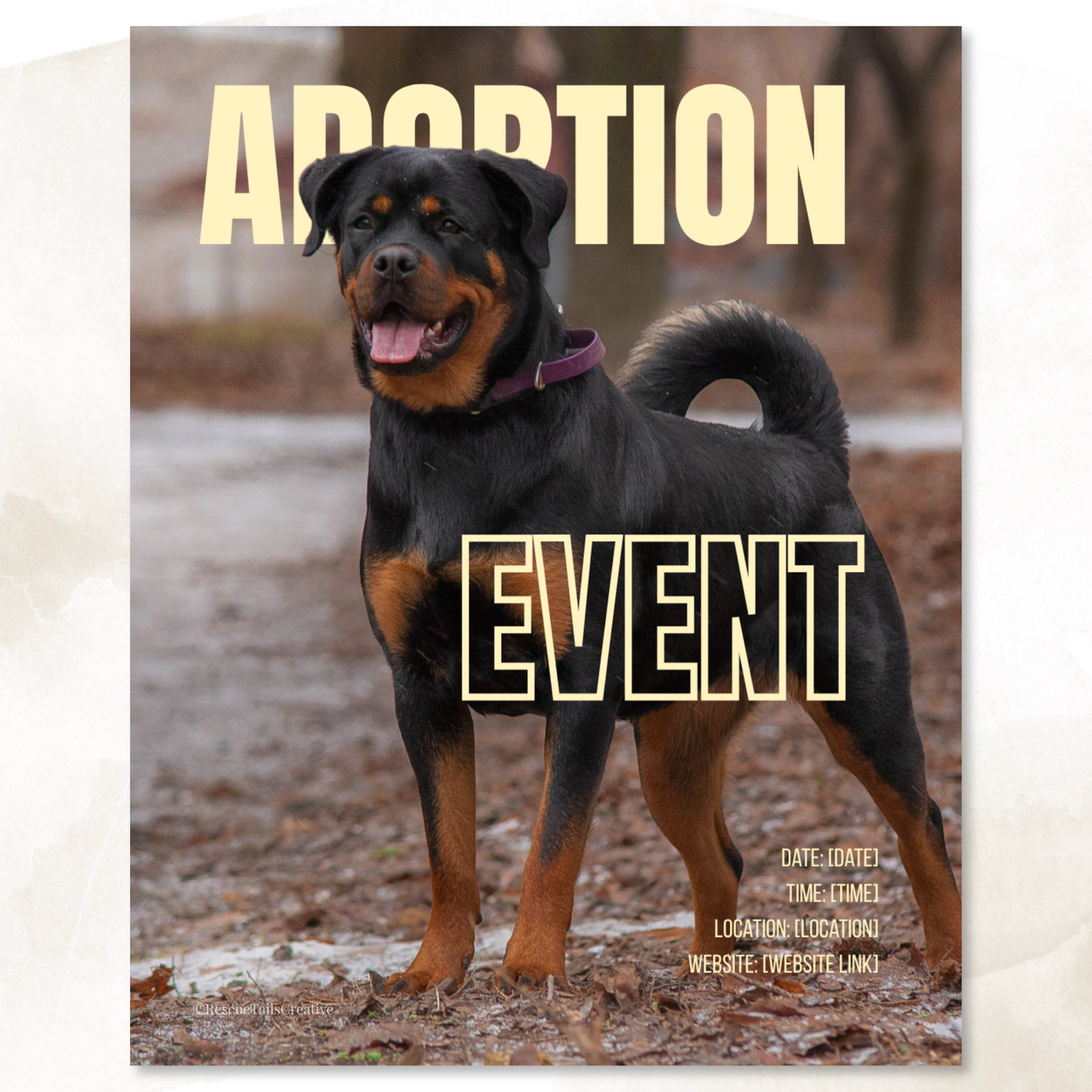 Adoption Event Template Pack - Find Your Forever