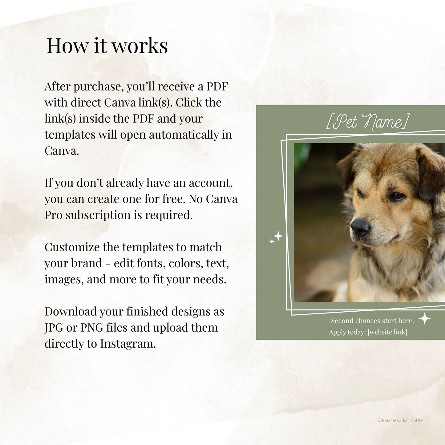 Featured Pet Template Pack - Hope & Homes