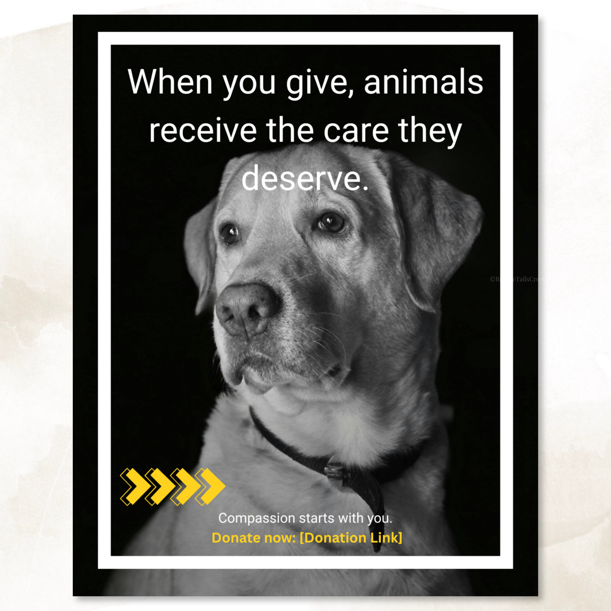 Donation Appeal Template Pack - Give Them a Chance