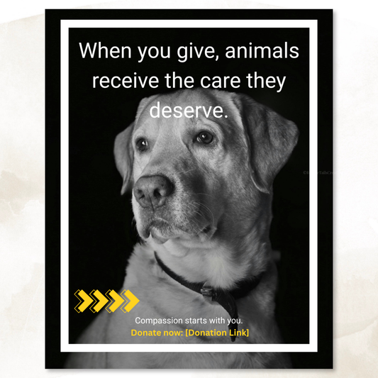 Donation Appeal Template Pack - Give Them a Chance